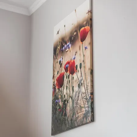 Lovely 2 Bedroom * Durrës